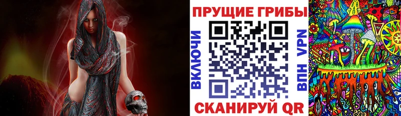 Псилоцибиновые грибы Magic Shrooms  kraken рабочий сайт  Змеиногорск 